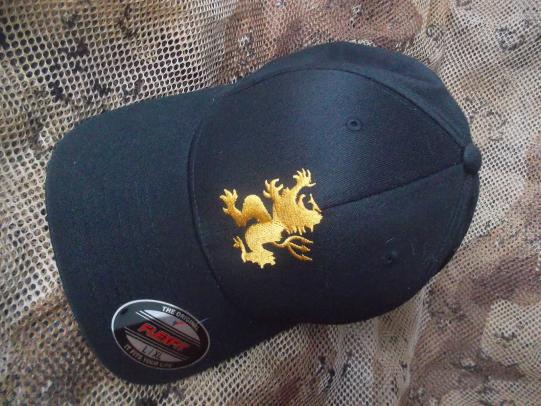 US NAVY SEAL TEAM NSW DEVGRU gold squadron lbt lion BASE BALL CAP HAT L XL new