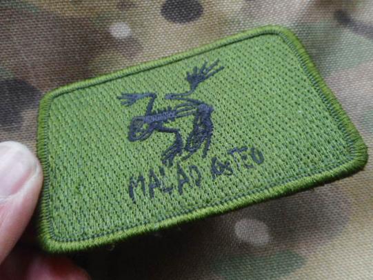 US Navy SEAL TEAM BONE SKELETON FROG PATCH BADGE nsw DevGru mal ad osteo GREEN