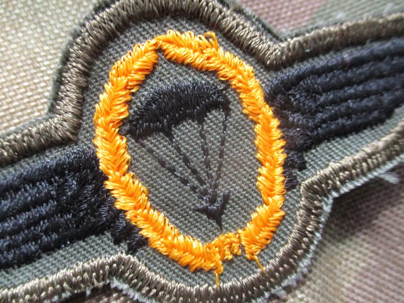 genuine old skool GERMAN ARMY PARACHUTE AIRBORNE FORCES PARACHUTE WINGS subdued