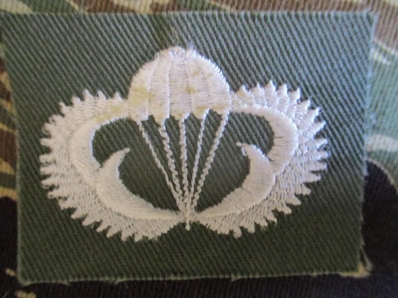 SOUTH KOREA parachute PARATROOPER PARA WINGS BADGE SET VIETNAM WAR era