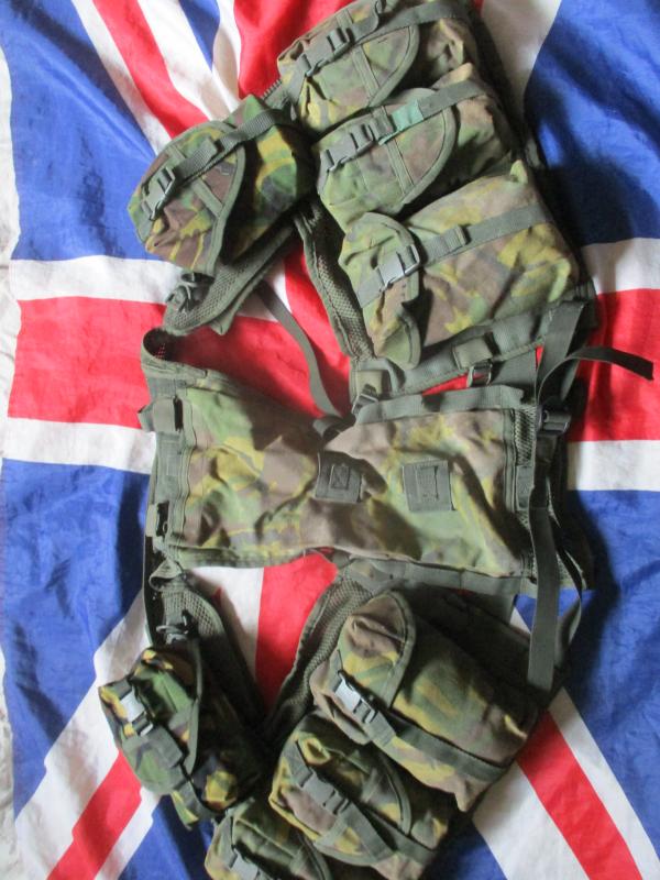 ARKTIS infantry sas sbs commando CHEST RIG OPS VEST WEBBING UK dpm CAMO